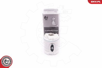 Fuel Feed Unit ESEN SKV 02SKV773