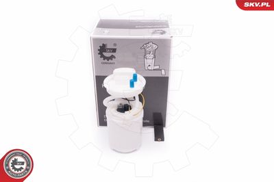 Fuel Feed Unit ESEN SKV 02SKV781