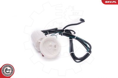 Fuel Feed Unit ESEN SKV 02SKV789