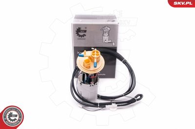 Fuel Feed Unit ESEN SKV 02SKV790