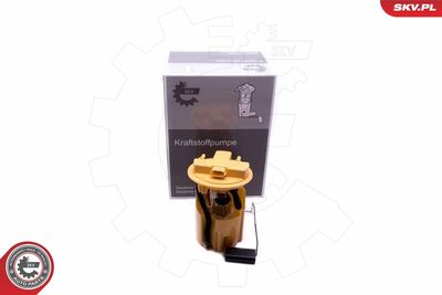 Fuel Feed Unit ESEN SKV 02SKV809