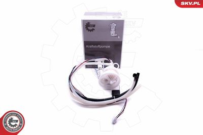 Fuel Feed Unit ESEN SKV 02SKV829
