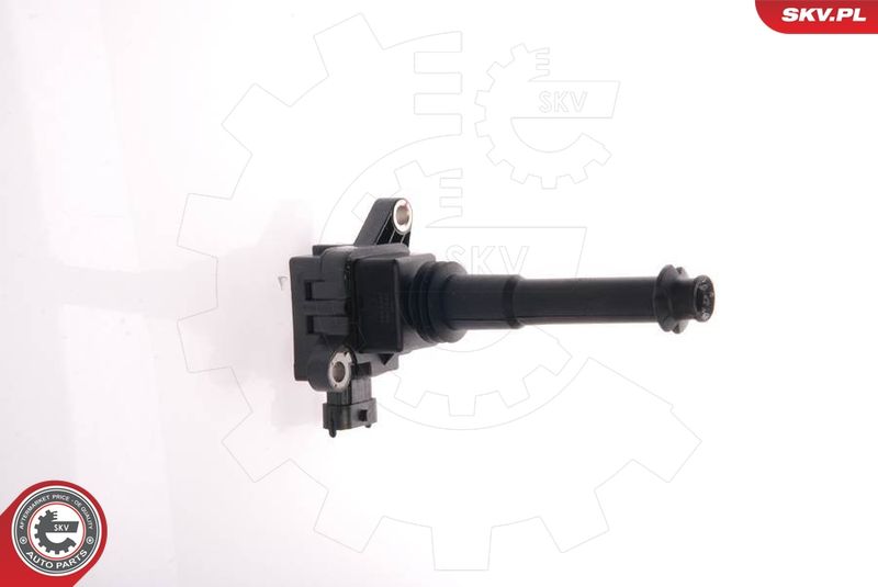 ESEN SKV 03SKV011 Ignition Coil