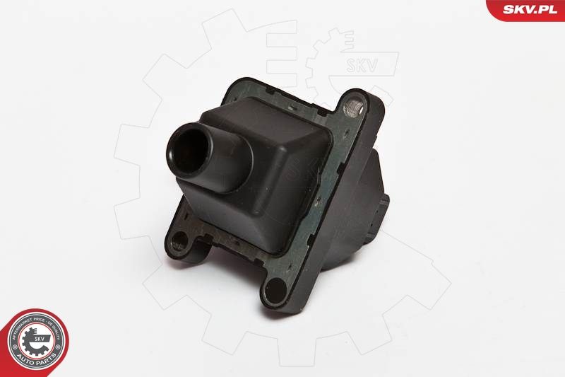ESEN SKV 03SKV016 Ignition Coil