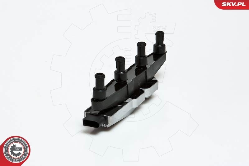 ESEN SKV 03SKV029 Ignition Coil