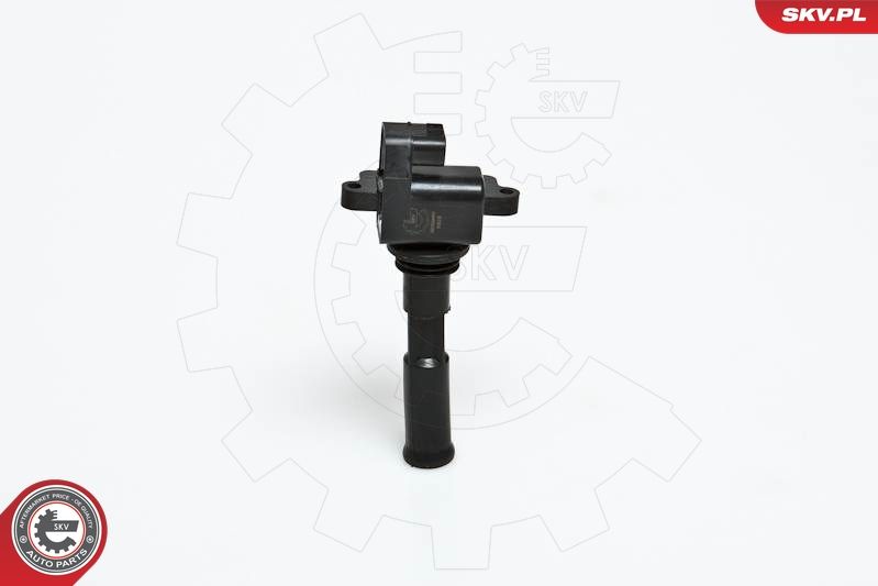 ESEN SKV 03SKV030 Ignition Coil