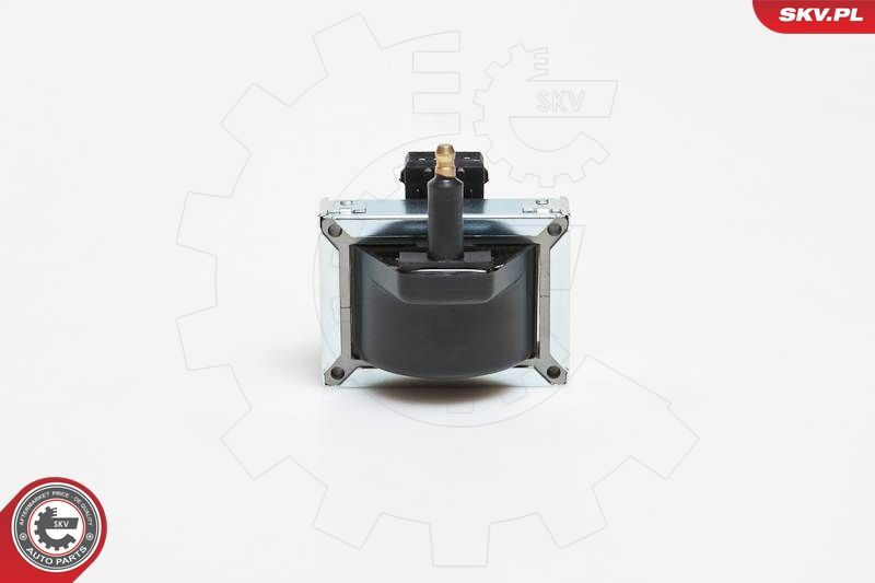 ESEN SKV 03SKV040 Ignition Coil