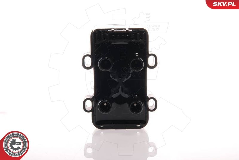 ESEN SKV 03SKV058 Ignition Coil