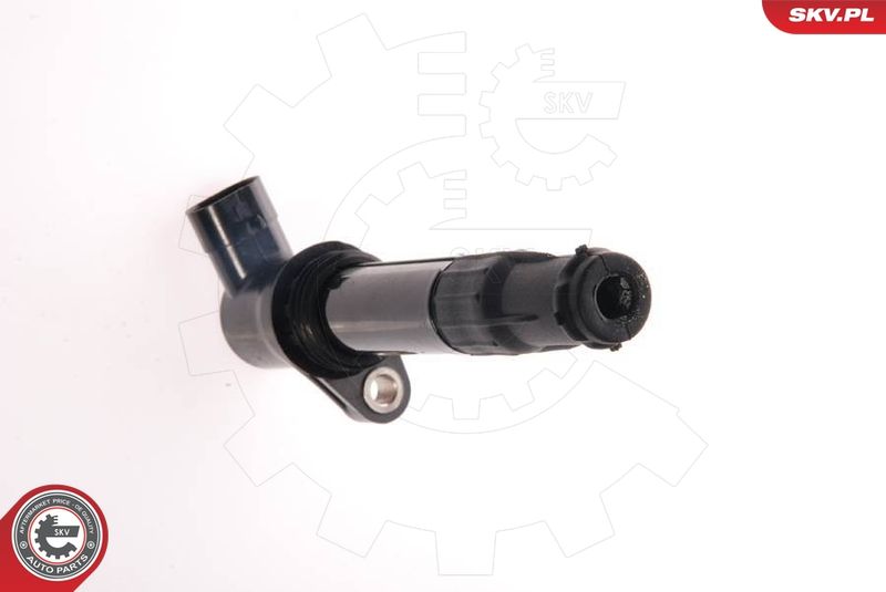 ESEN SKV 03SKV065 Ignition Coil