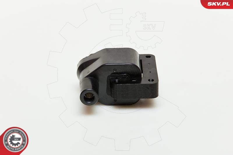 ESEN SKV 03SKV096 Ignition Coil