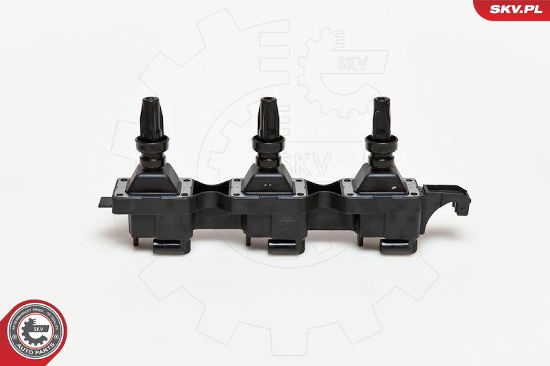 ESEN SKV 03SKV114 Ignition Coil