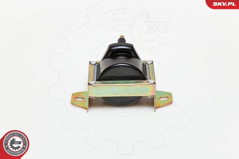 ESEN SKV 03SKV119 Ignition Coil