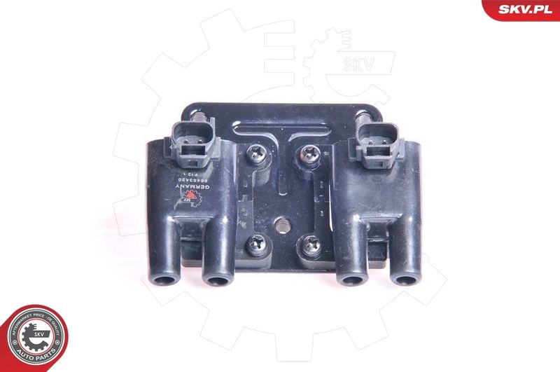 ESEN SKV 03SKV132 Ignition Coil