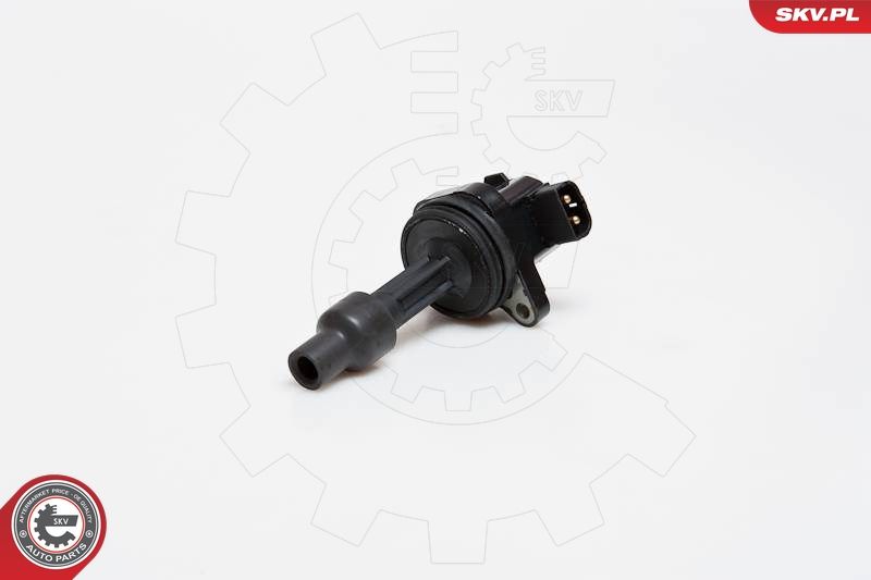 ESEN SKV 03SKV169 Ignition Coil