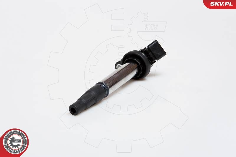 ESEN SKV 03SKV173 Ignition Coil