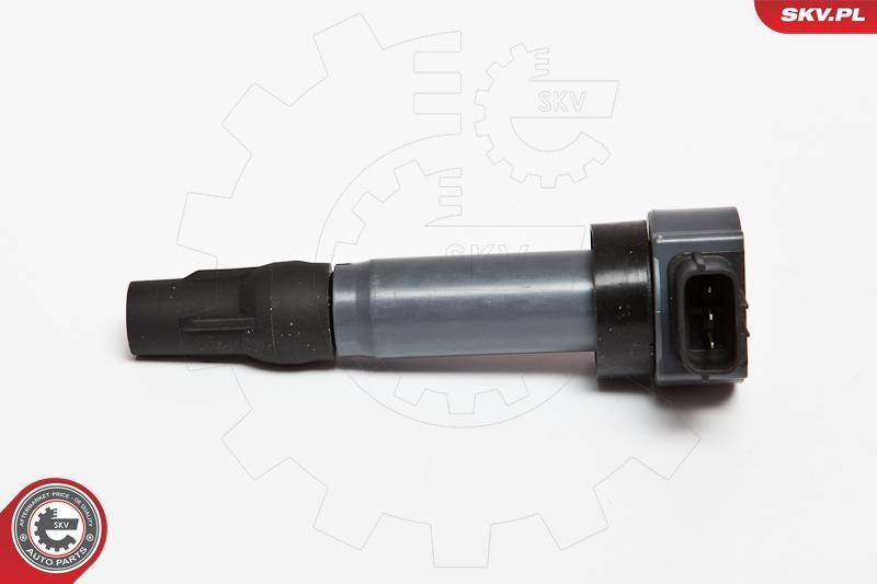 ESEN SKV 03SKV198 Ignition Coil