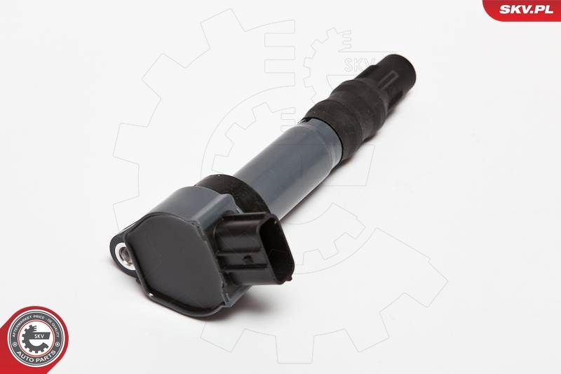 ESEN SKV 03SKV199 Ignition Coil