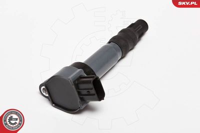 Ignition Coil ESEN SKV 03SKV199