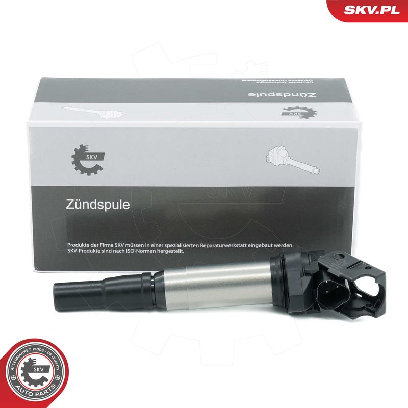 ESEN SKV 03SKV206 Ignition Coil