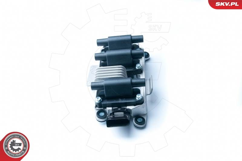 ESEN SKV 03SKV216 Ignition Coil