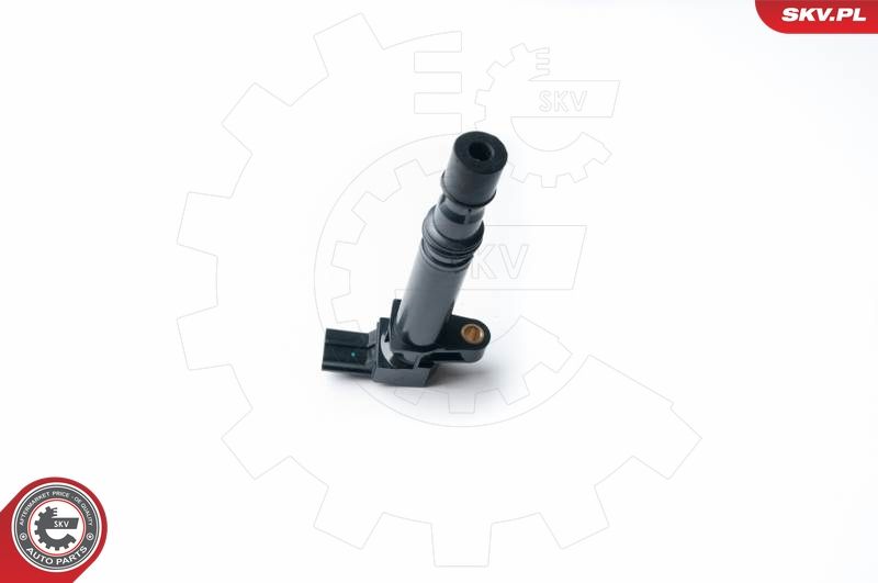 ESEN SKV 03SKV222 Ignition Coil