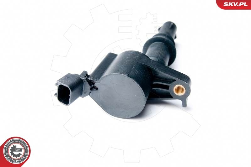 ESEN SKV 03SKV227 Ignition Coil