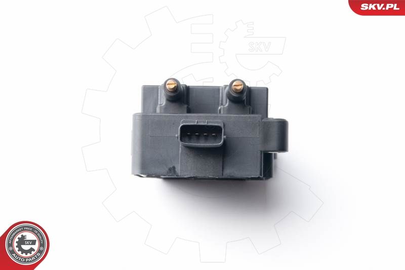 ESEN SKV 03SKV238 Ignition Coil