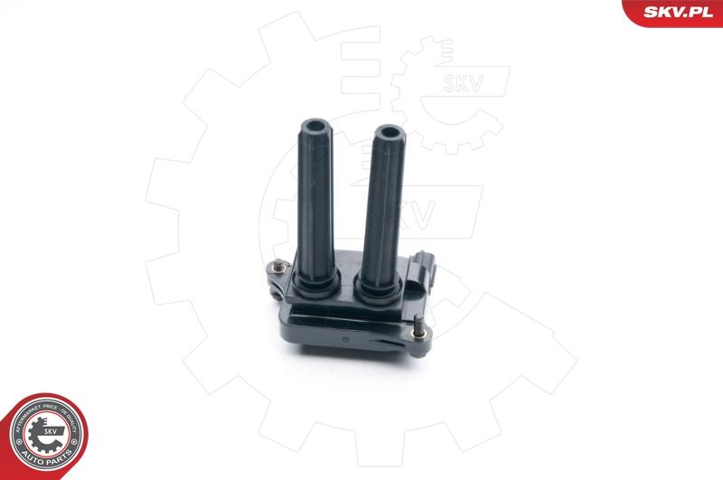 ESEN SKV 03SKV250 Ignition Coil