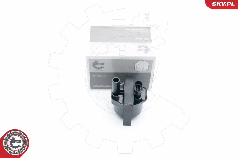 ESEN SKV 03SKV253 Ignition Coil
