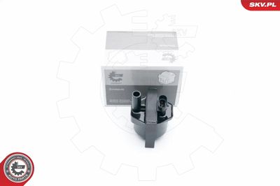 Ignition Coil ESEN SKV 03SKV253