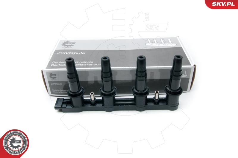 ESEN SKV 03SKV254 Ignition Coil