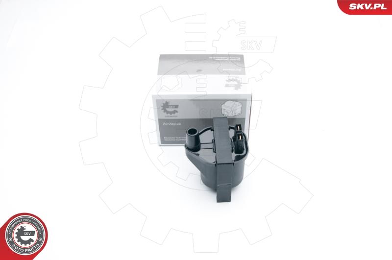 ESEN SKV 03SKV263 Ignition Coil