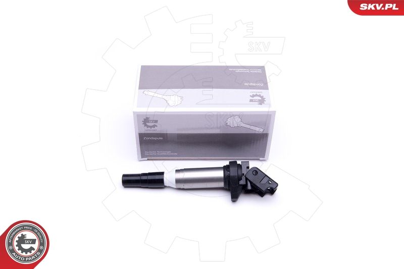 ESEN SKV 03SKV270 Ignition Coil