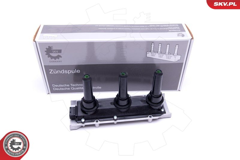 ESEN SKV 03SKV273 Ignition Coil