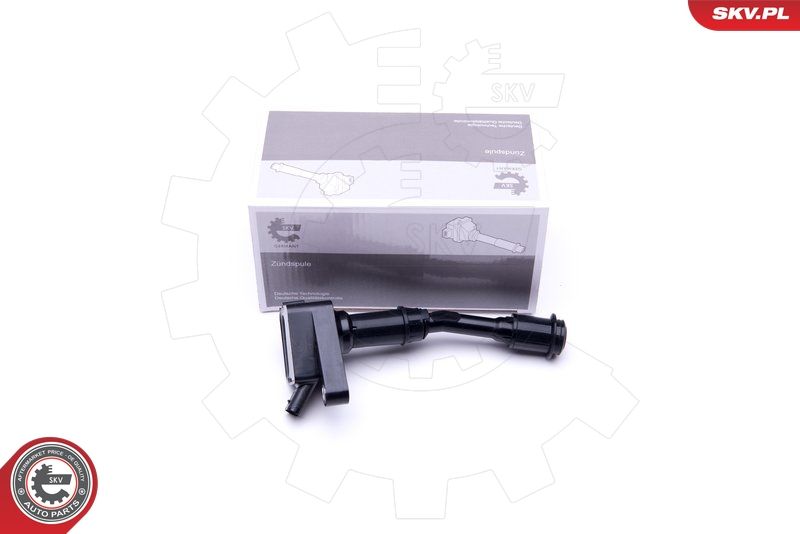 ESEN SKV 03SKV274 Ignition Coil