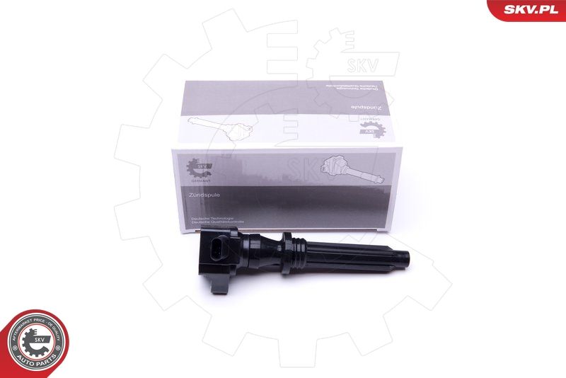ESEN SKV 03SKV275 Ignition Coil