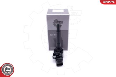 Ignition Coil ESEN SKV 03SKV278