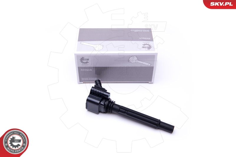 ESEN SKV 03SKV281 Ignition Coil