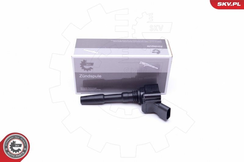 ESEN SKV 03SKV290 Ignition Coil