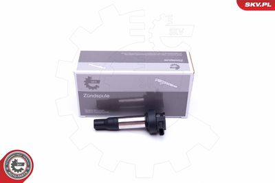 Ignition Coil ESEN SKV 03SKV293