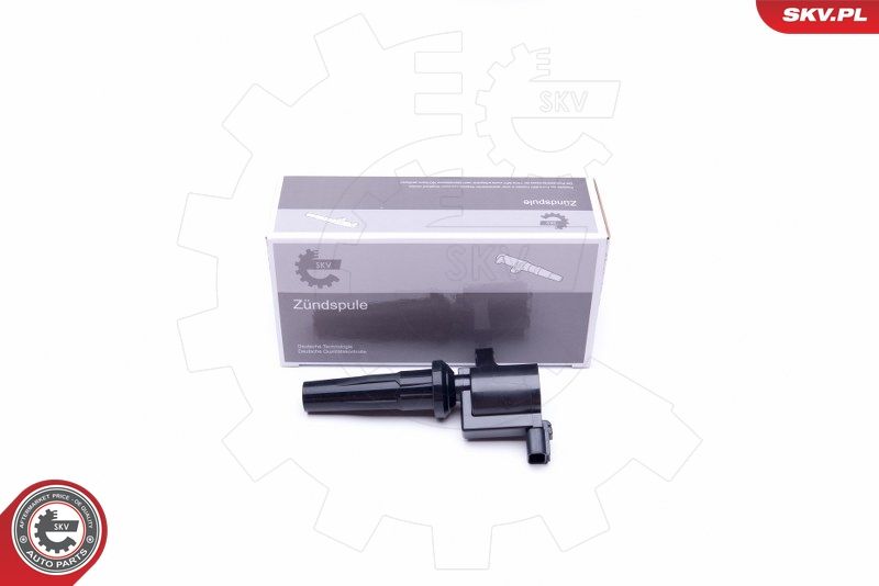 ESEN SKV 03SKV301 Ignition Coil