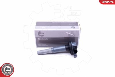 Ignition Coil ESEN SKV 03SKV302