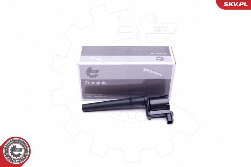 ESEN SKV 03SKV304 Ignition Coil