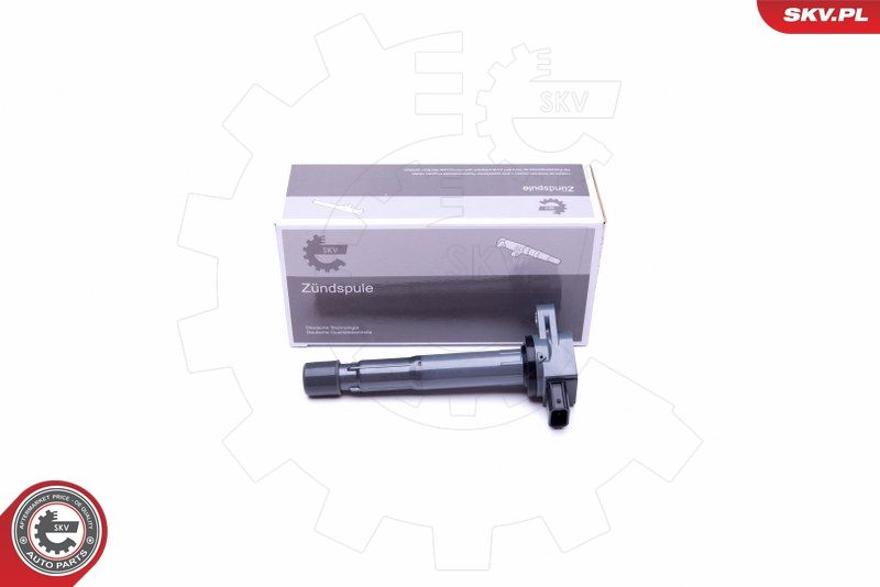 ESEN SKV 03SKV307 Ignition Coil