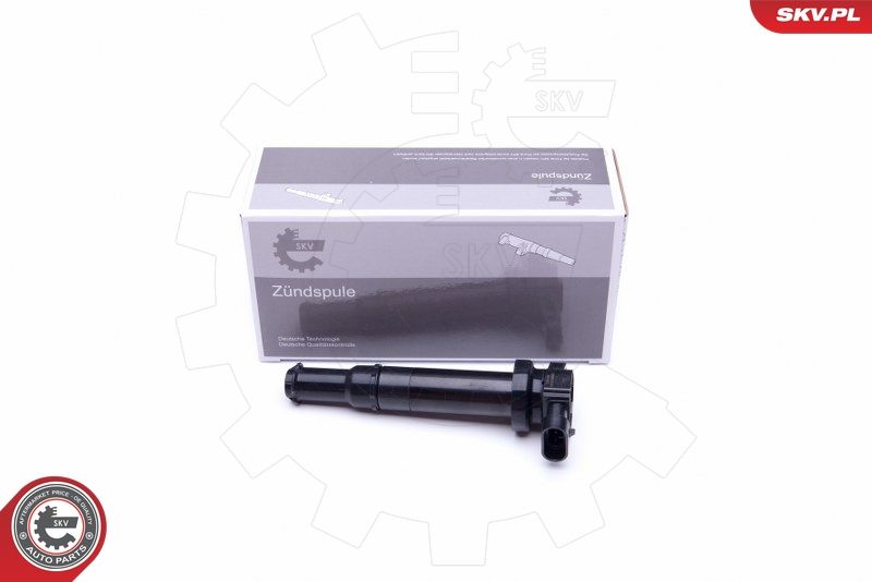 ESEN SKV 03SKV314 Ignition Coil