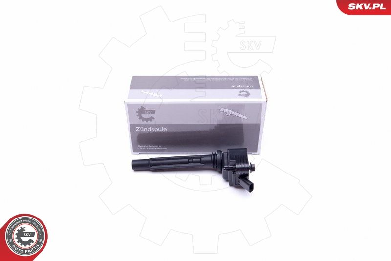ESEN SKV 03SKV318 Ignition Coil