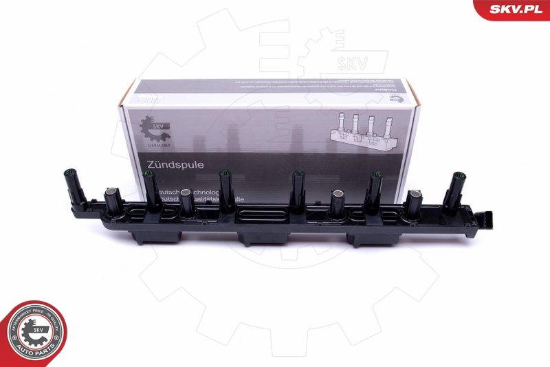 ESEN SKV 03SKV321 Ignition Coil