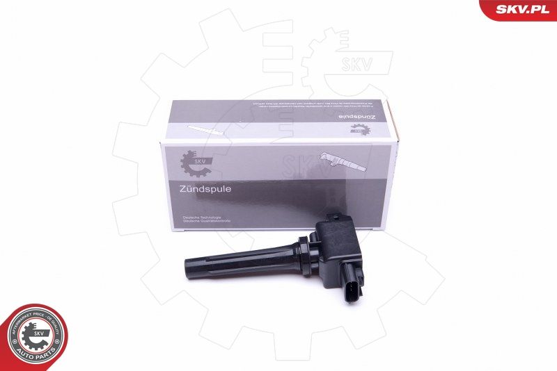 ESEN SKV 03SKV324 Ignition Coil