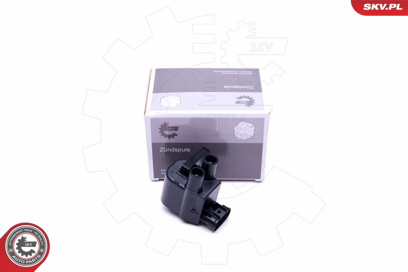 ESEN SKV 03SKV340 Ignition Coil