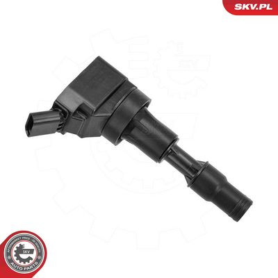 Ignition Coil ESEN SKV 03SKV354